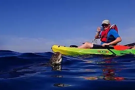 Excursiones en Kayak Tenerife